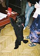 Resize of 000069.JPG